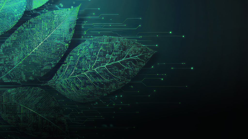 sustainable and tech leaf image