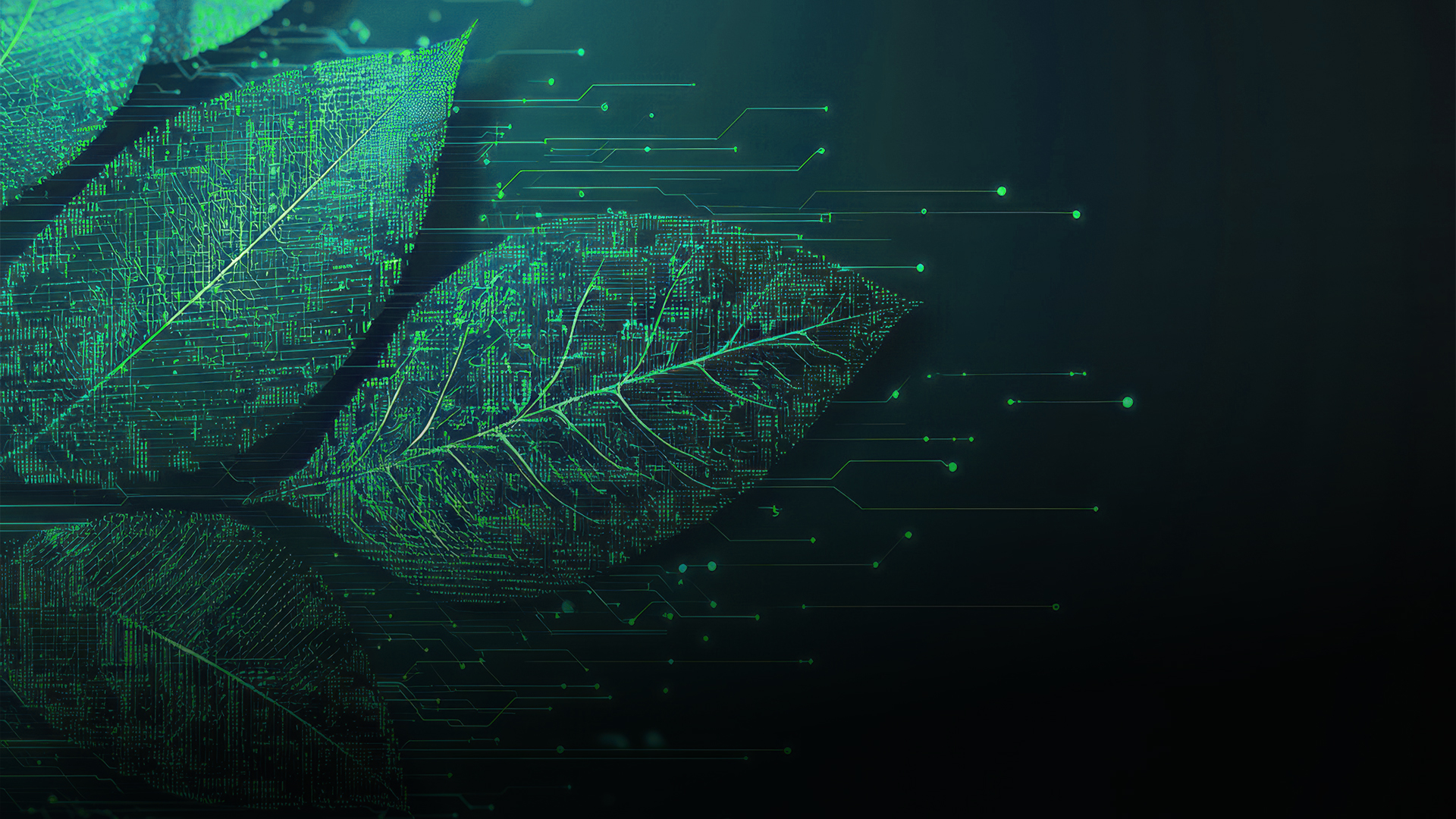 sustainable and tech leaf image